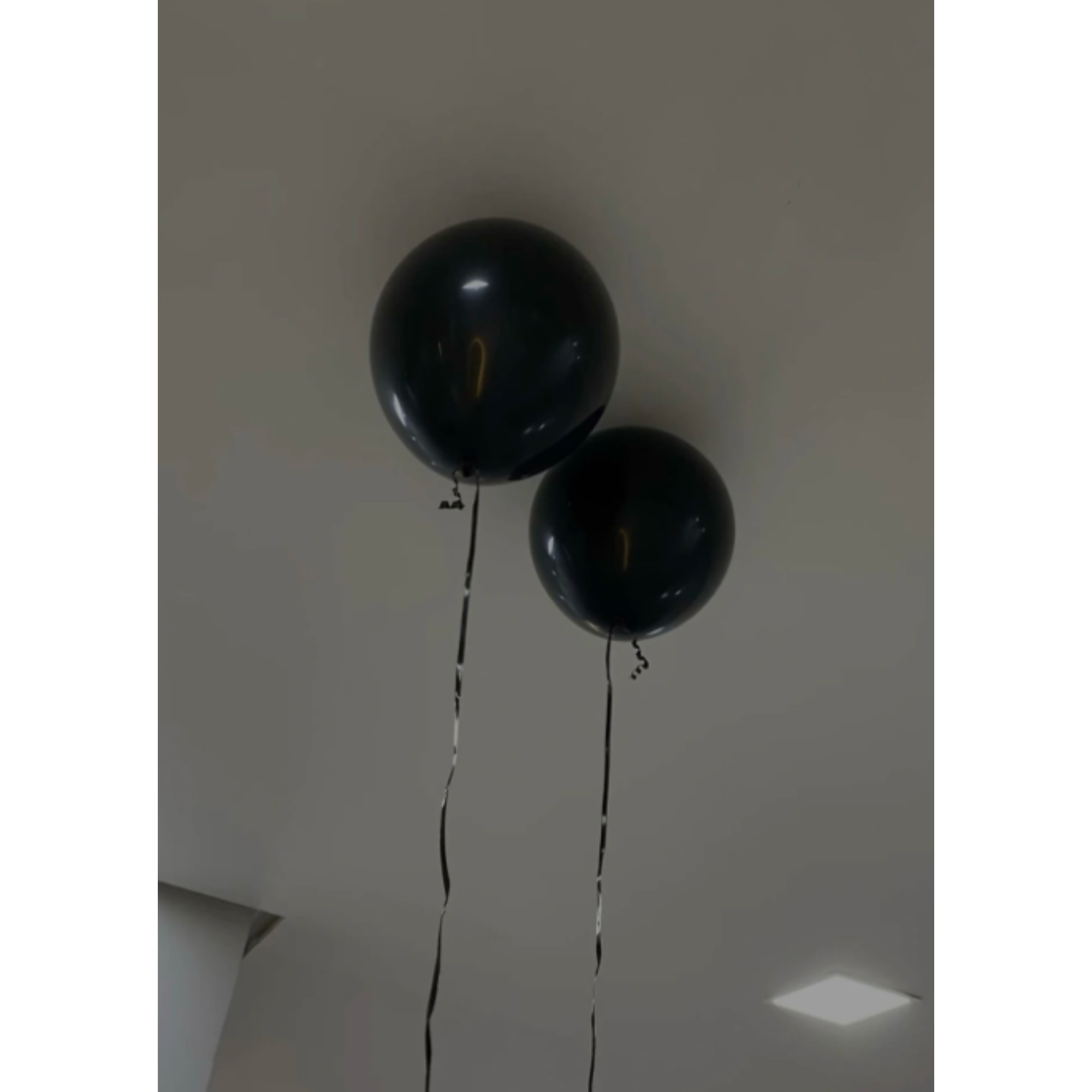 Globos Lisos - Imagen 2